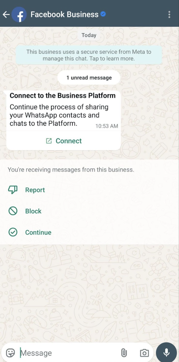 WhatsApp Business app chat from Facebook Business titled Connect to the Business Platform, with a Connect button